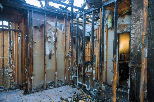 Professional Fire Damage Removal technician working in Dyersburg, TN